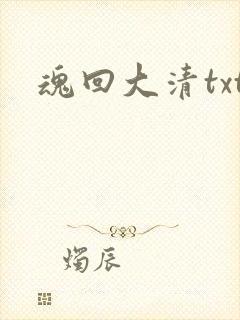 魂回大清txt