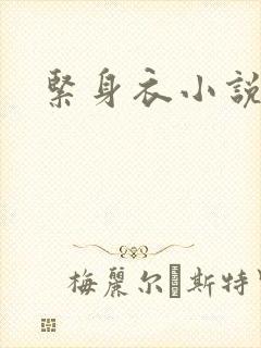 紧身衣小说