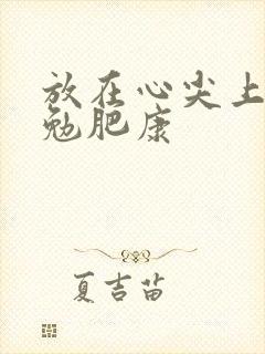 放在心尖上七猫勉肥康