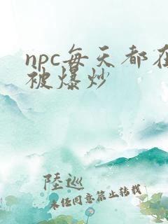 npc每天都在被爆炒