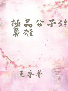 极品公子3续世枭雄