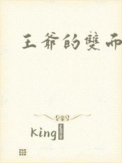 王爷的双面王妃