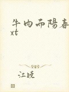 牛肉面阳春面txt