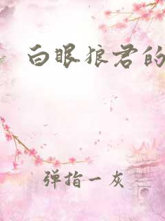 白眼狼君的小说