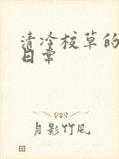 清冷校草的抹布日常