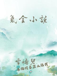 氪金小说