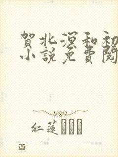 贺北溟和初夏的小说免费阅读无弹窗