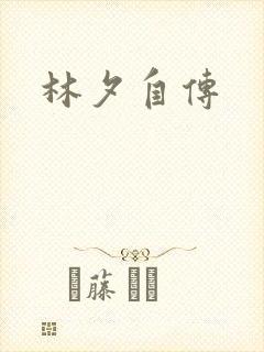 林夕自传