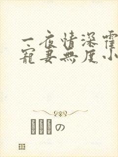 一夜情深霍先生宠妻无度小说免费阅读