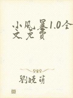 小风暴1.0全文免费