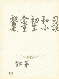 黎念初和司慕城是重生小说