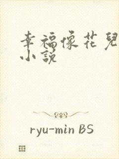 幸福像花儿一样小说