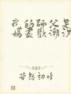 我的师父是王语嫣尽欢潮汐