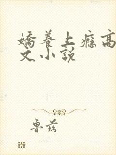 娇养上瘾高H爽文小说