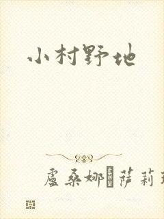 小村野地
