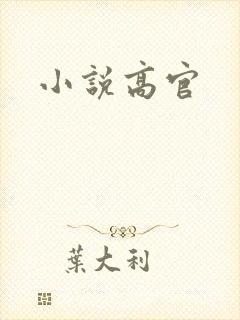 小说高官