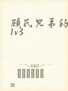 顾氏兄弟的南宁1v3