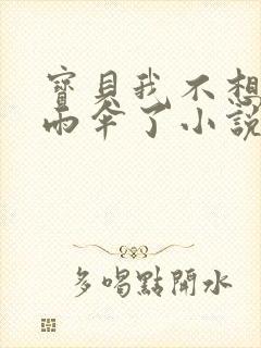 宝贝我不想带小雨伞了小说