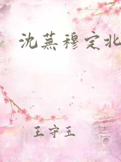 沈芜穆定北小说