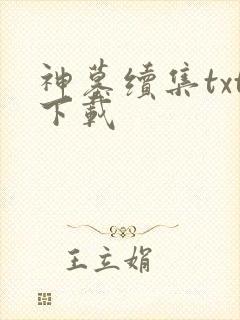 神墓续集txt下载