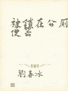 被锁在公厕当坐便器