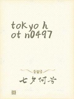 tokyo hot n0497