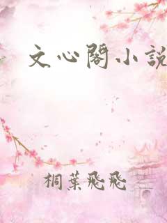文心阁小说