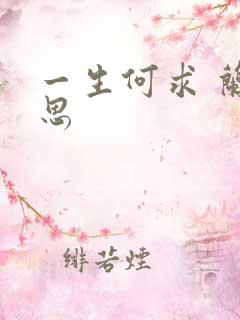 一生何求 兰思思