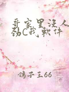 哥家里没人使点劲C我软件