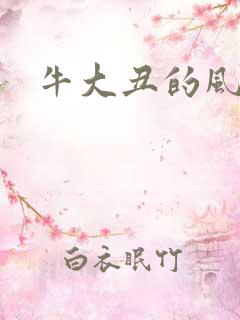 牛大丑的风流记