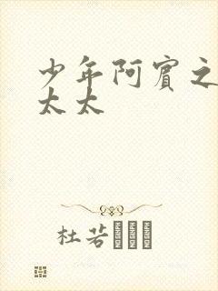 少年阿宾之房东太太