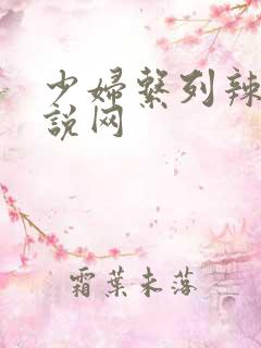 少妇系列辣文小说网