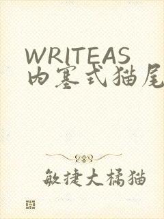 WRITEAS内塞式猫尾