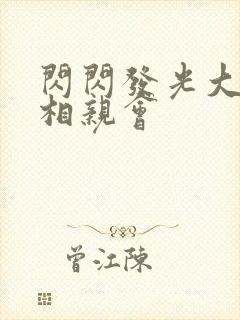 闪闪发光大团圆相亲会