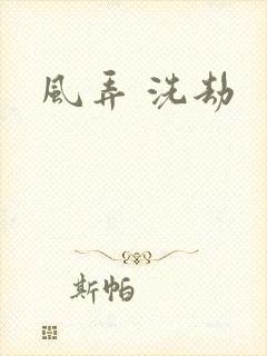 风弄 洗劫