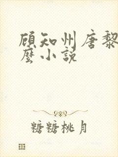 顾知州唐黎叫什么小说