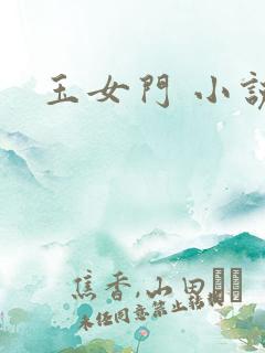 玉女门 小说