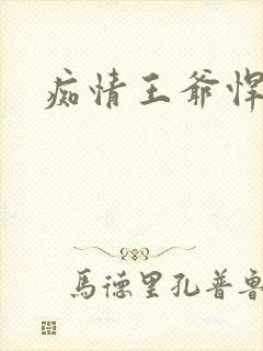 痴情王爷悍王妃