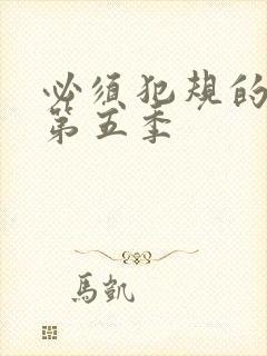 必须犯规的游戏第五季