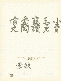 偷香窃玉小说全文阅读免费