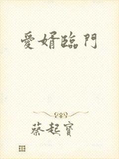 爱婿临门