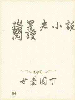 捞星光小说免费阅读