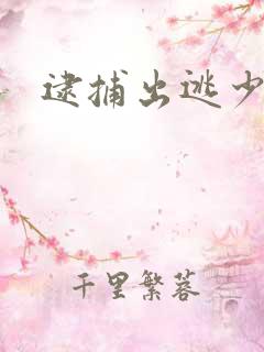 逮捕出逃少奶奶