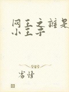 网王之谁是我的小王子
