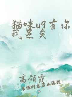 猫咪u9有你有我足矣