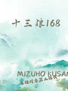 十三狼168