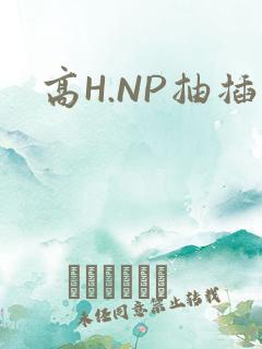高H.NP抽插