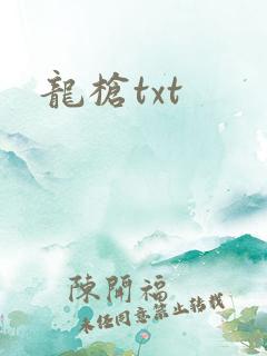 龙枪txt
