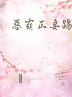 恶霸正妻踢娇妾