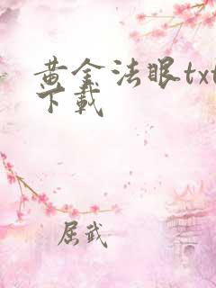 黄金法眼txt下载